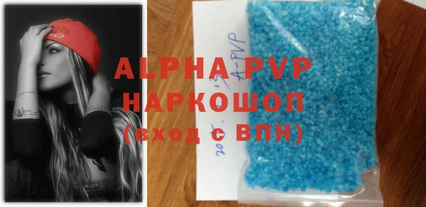 индика Нефтегорск