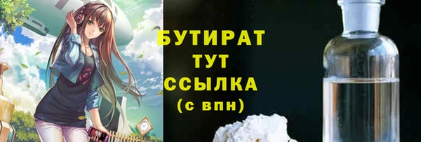 прущие грибы Надым