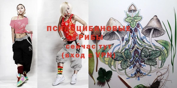 бошки Наволоки