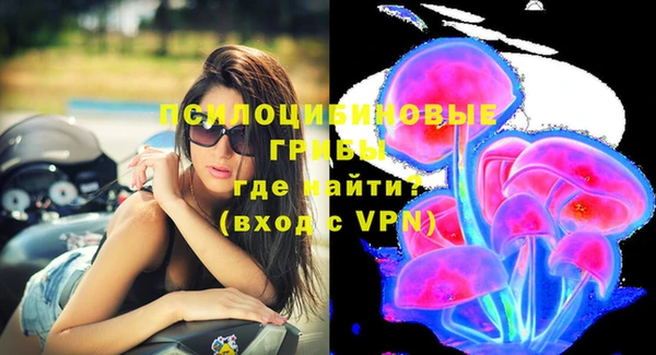 ECSTASY Навашино