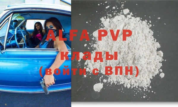 прущие грибы Надым