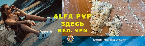 apvp Ельня