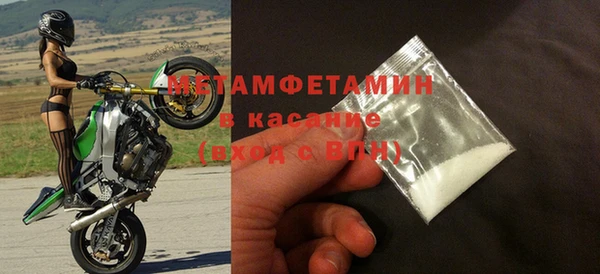 прущие грибы Надым