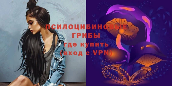 герыч Болотное