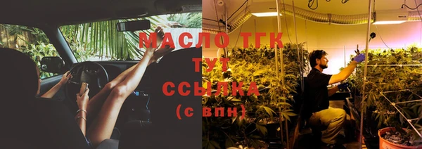 прущие грибы Надым