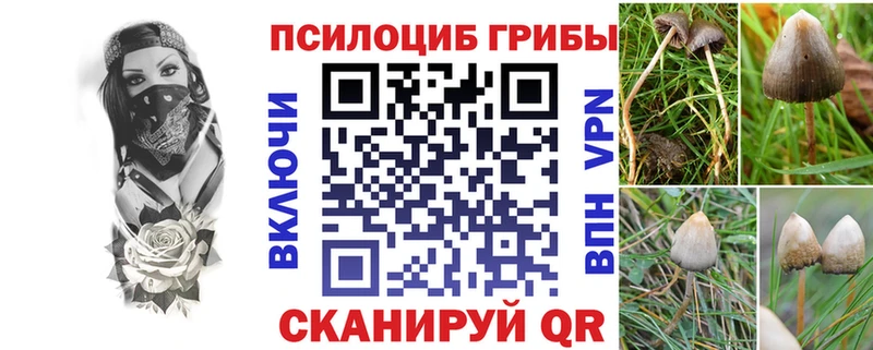 Галлюциногенные грибы Cubensis  Котлас 