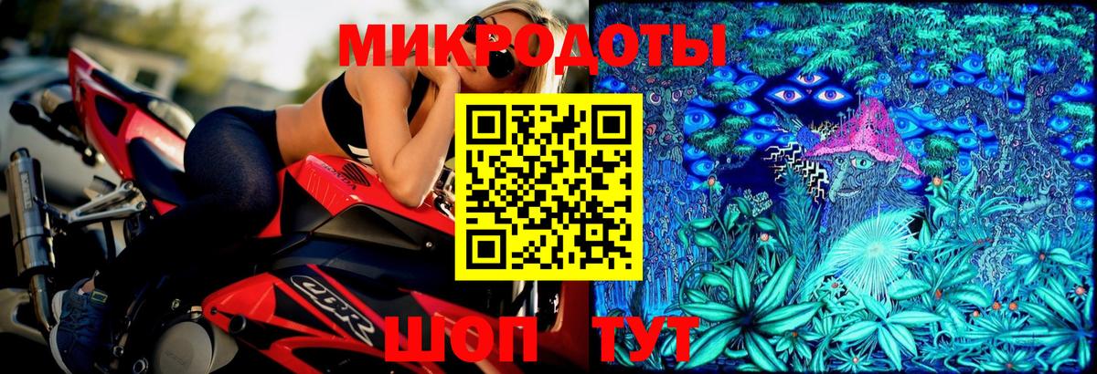Котлас  Галлюциногенные грибы Psilocybe  Вход с VPN 