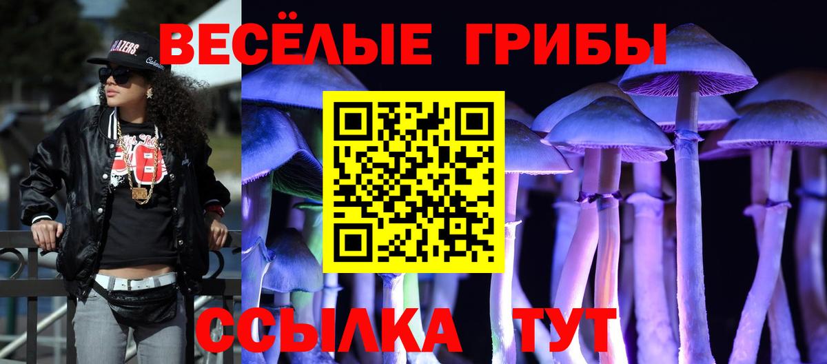 Псилоцибиновые грибы Psilocybine cubensis Котлас