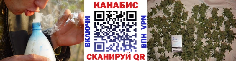 Бошки Шишки Ganja  где купить   Котлас 