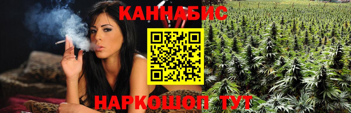 Бошки марихуана THC 21% Котлас